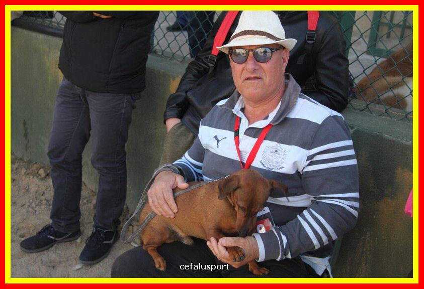 180311 mostra_canina 098.jpg